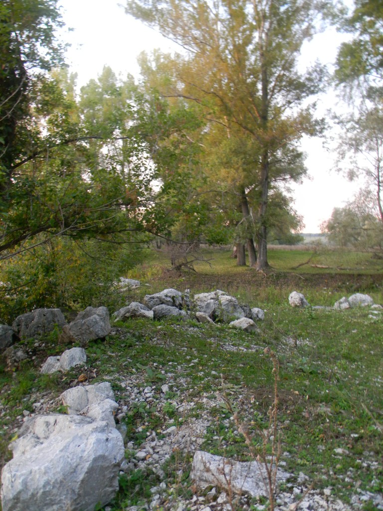 День 5