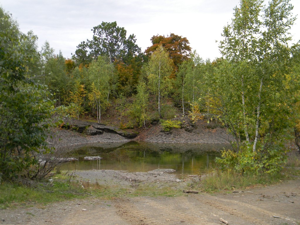 День 6