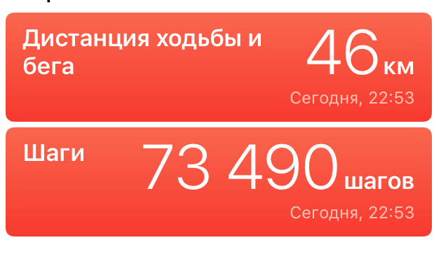 Охота Домой 10
